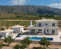 Nybygg - Villa - Pinoso - Camino Del Prado