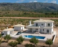 Nybygg - Villa - Pinoso - Camino Del Prado