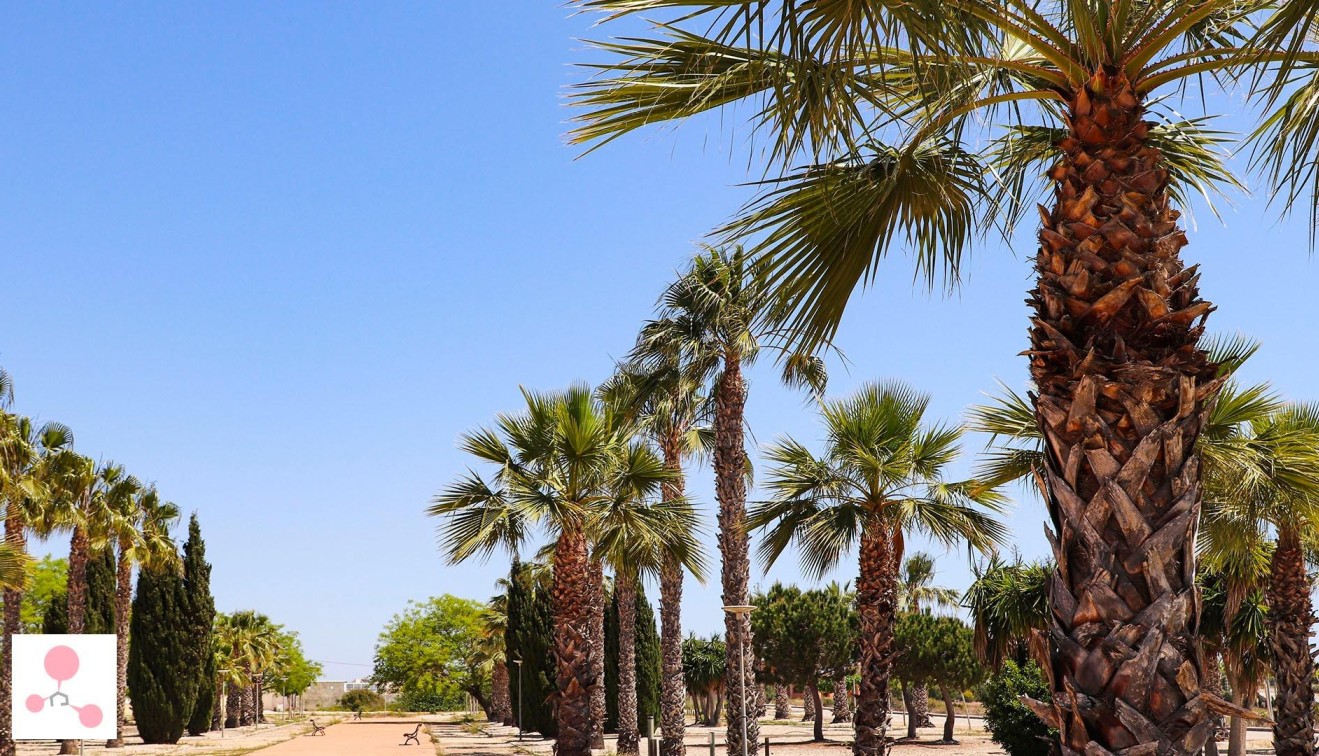 Nybygg - Villa - San Fulgencio - La Escuera