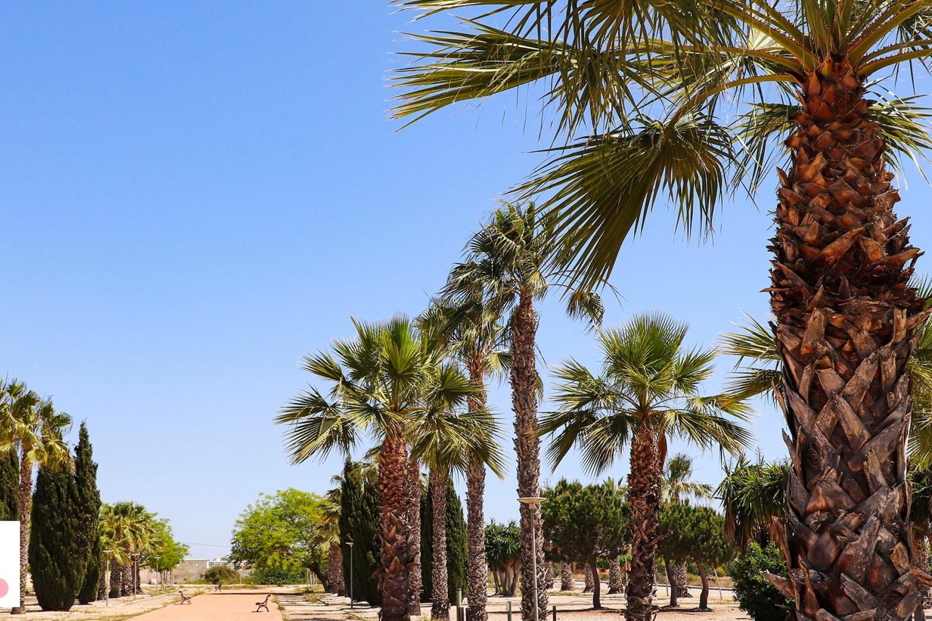 Nybygg - Villa - San Fulgencio - La Escuera