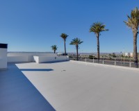 Nybygg - Villa - Torrevieja - Sector 25