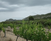 Nybygg - Villa - Yecla