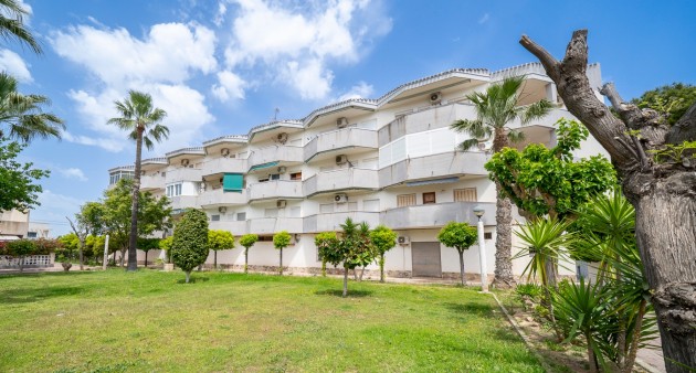 Piso - Venta - Orihuela costa - A-003566
