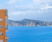 Prodej - Apartment - Benidorm