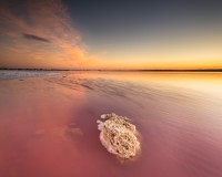 Prodej - Apartment - El Raso