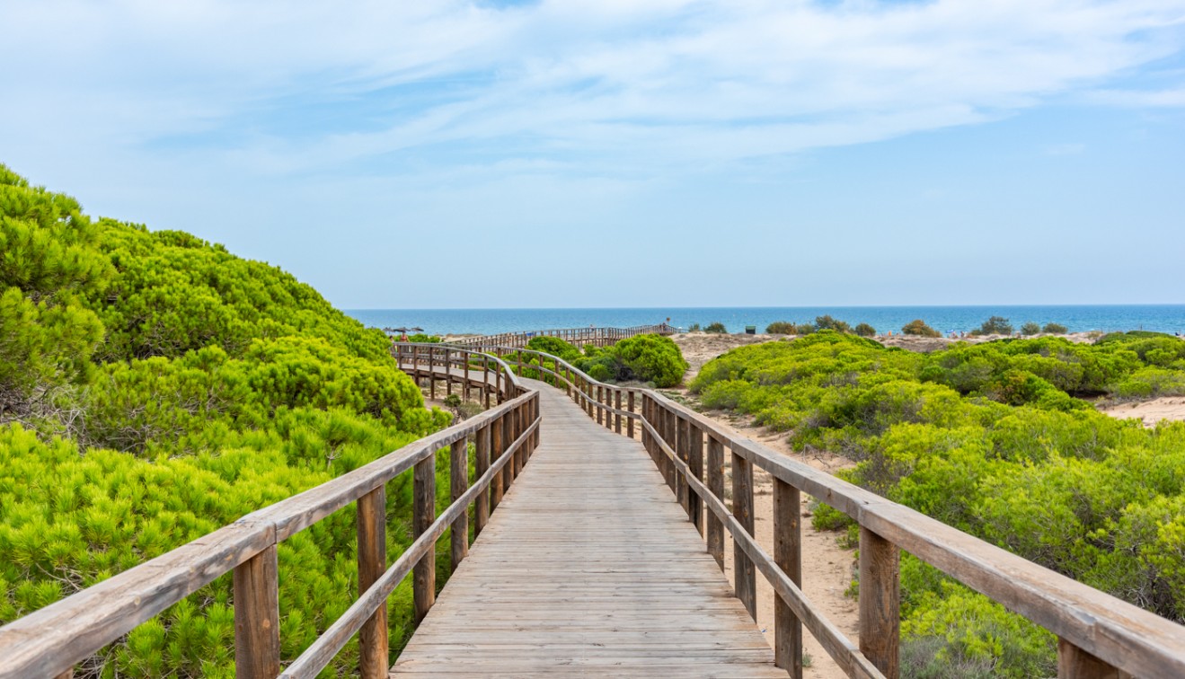 Prodej - Apartment - Gran Alacant