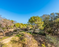 Prodej - Apartment - Guardamar del Segura