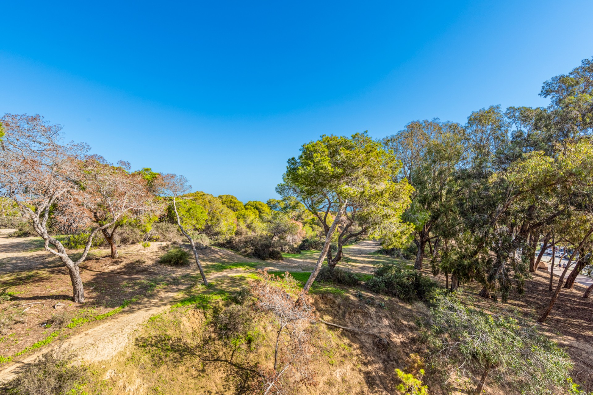 Prodej - Apartment - Guardamar del Segura