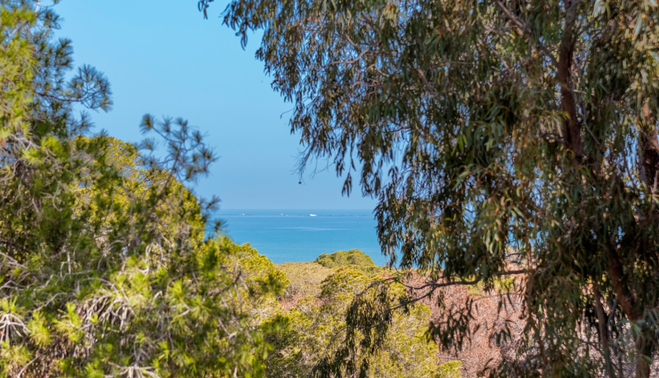 Prodej - Apartment - Guardamar del Segura