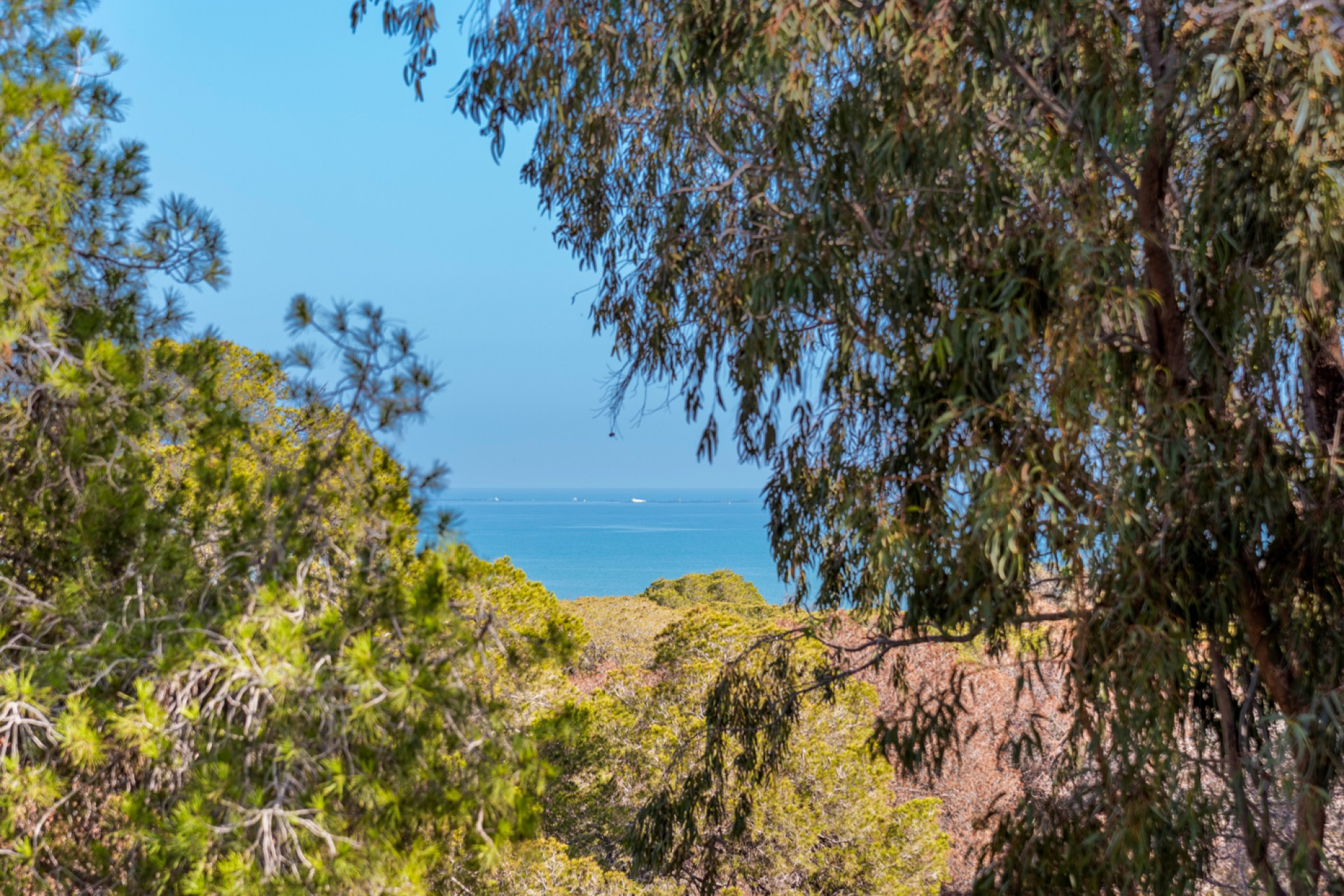 Prodej - Apartment - Guardamar del Segura