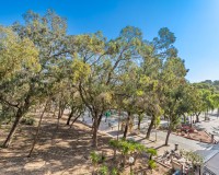 Prodej - Apartment - Guardamar del Segura