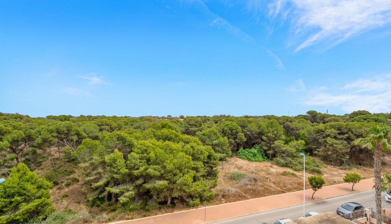 Prodej - Apartment - Guardamar del Segura