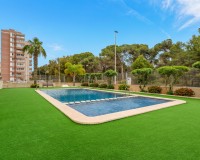 Prodej - Apartment - Guardamar del Segura
