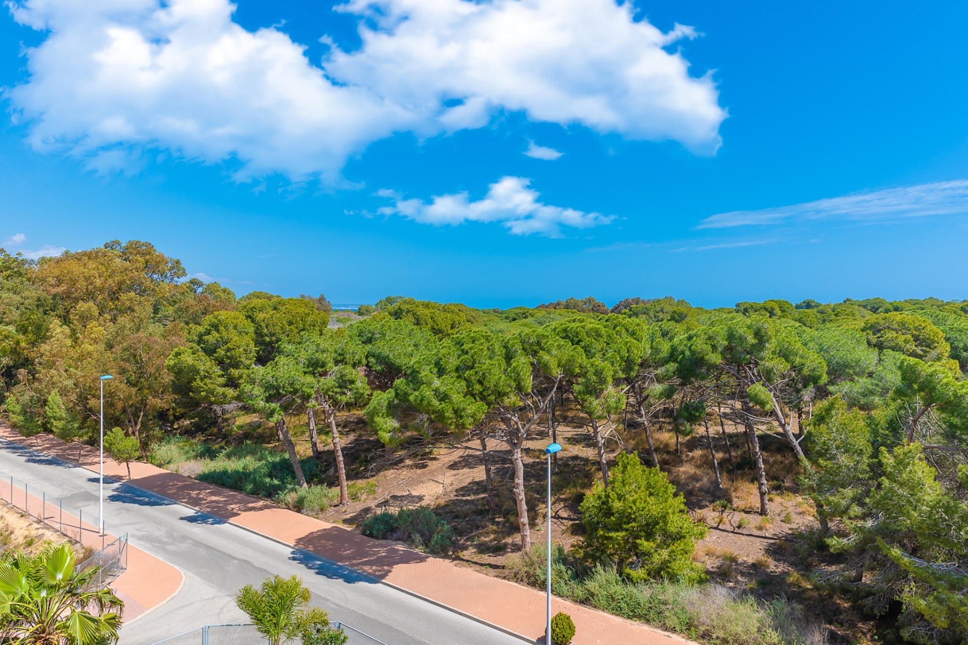 Prodej - Apartment - Guardamar del Segura