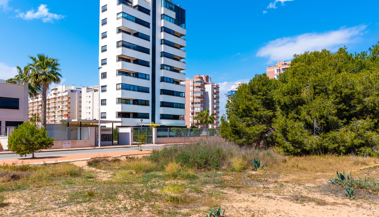 Prodej - Apartment - Guardamar del Segura