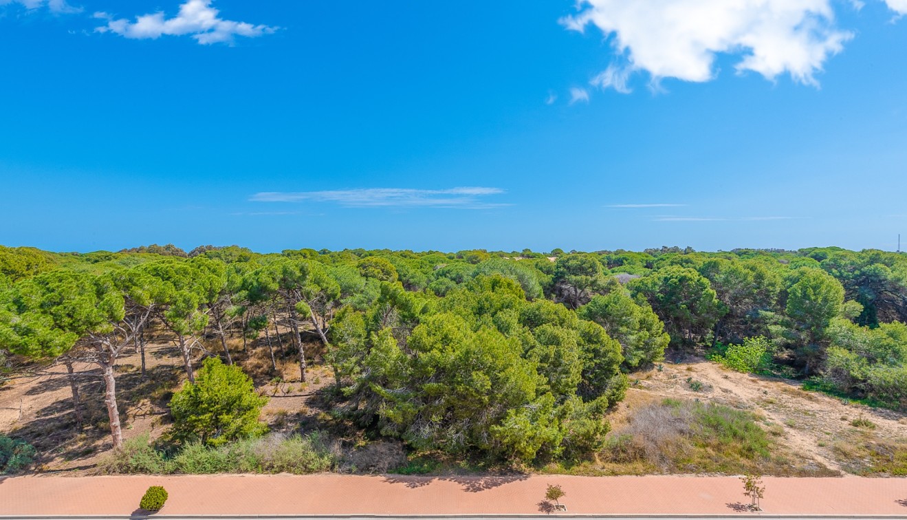 Prodej - Apartment - Guardamar del Segura