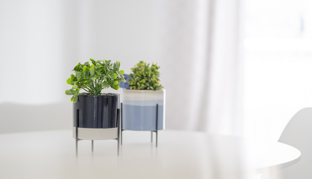 Prodej - Apartment - Guardamar del Segura