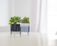 Prodej - Apartment - Guardamar del Segura