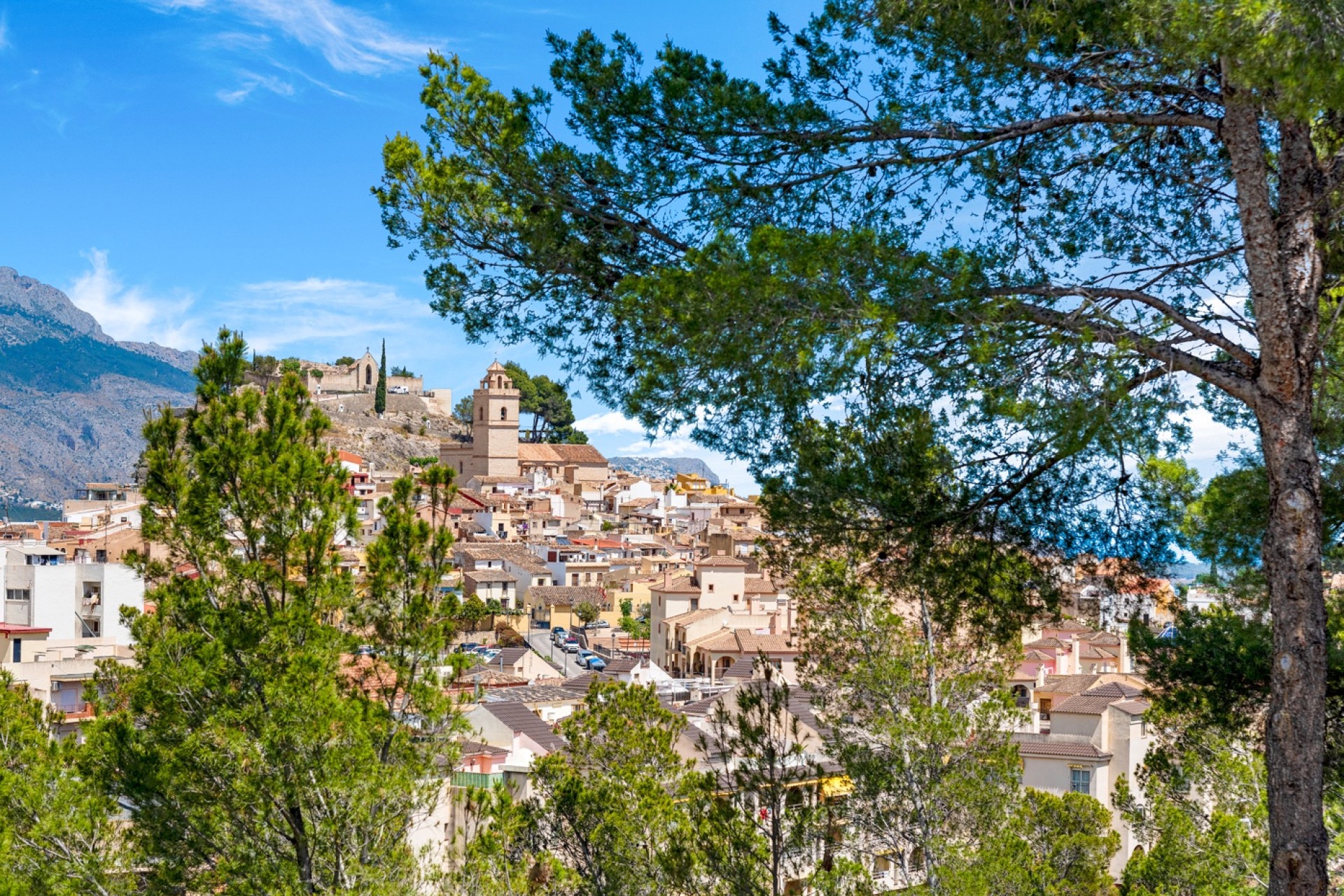 Prodej - Apartment - La Nucia - La nucia