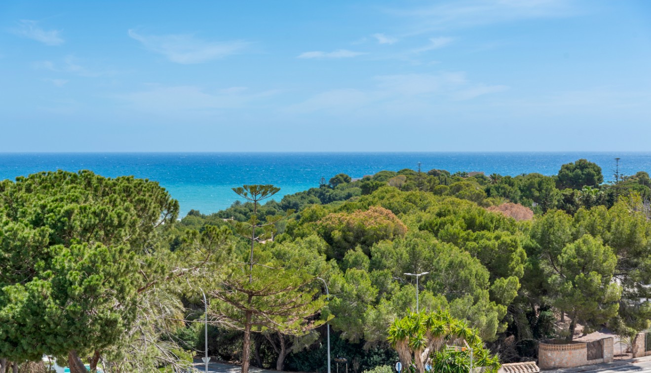 Prodej - Apartment - Orihuela costa - Campoamor