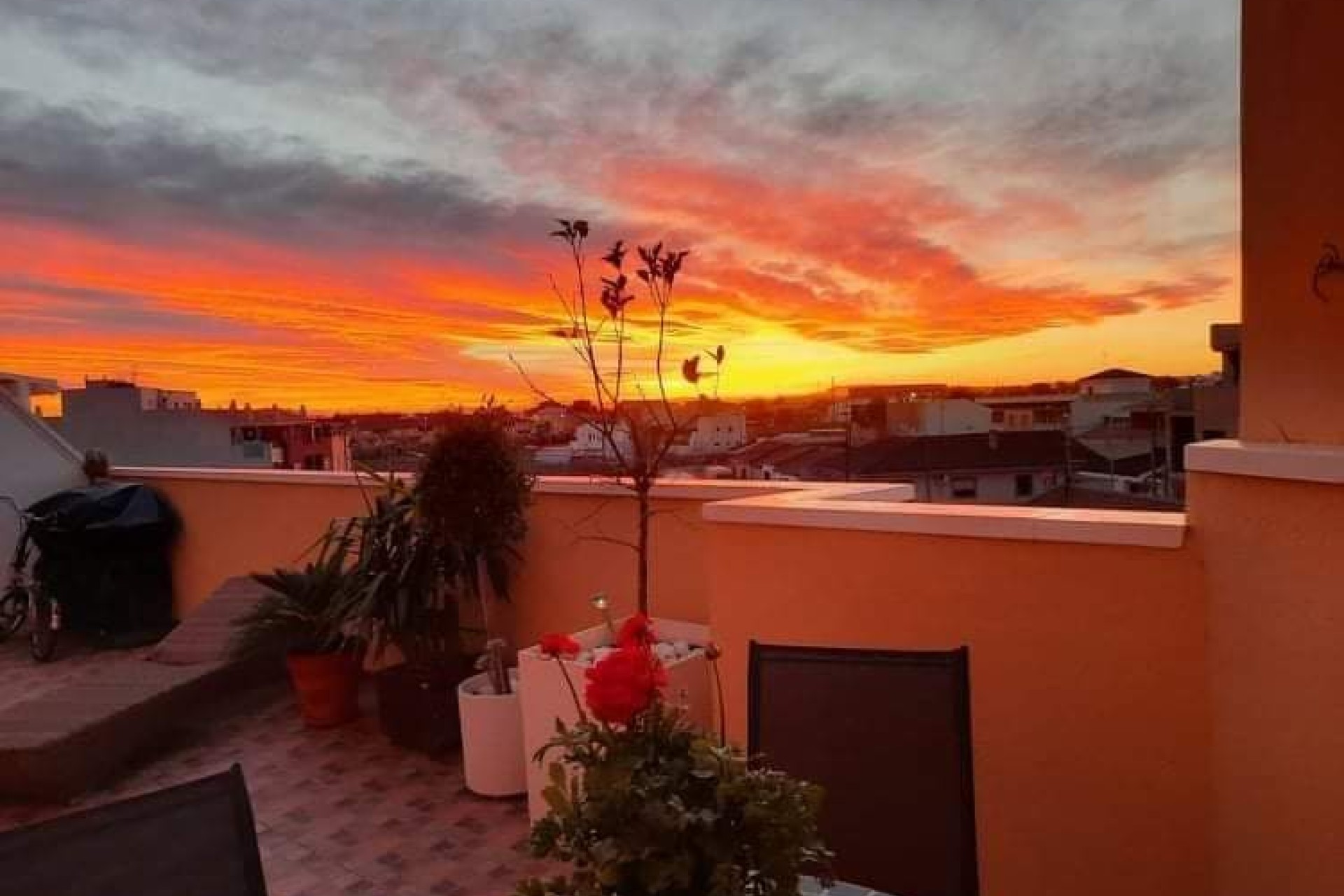 Prodej - Apartment - Pilar de La Horadada