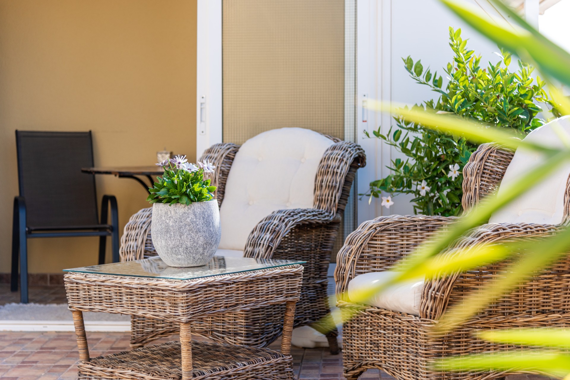 Prodej - Apartment - Pilar de La Horadada