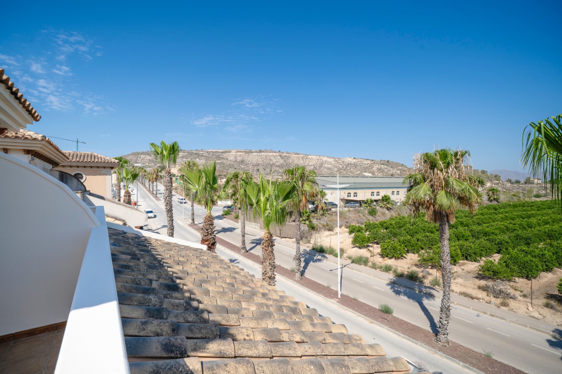 Prodej - Bungalow - Algorfa