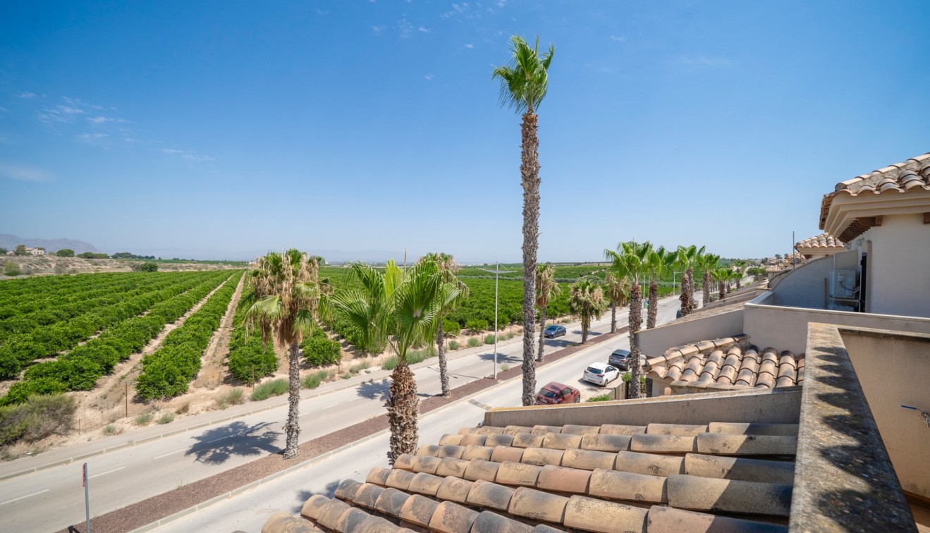 Prodej - Bungalow - Algorfa