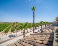 Prodej - Bungalow - Algorfa