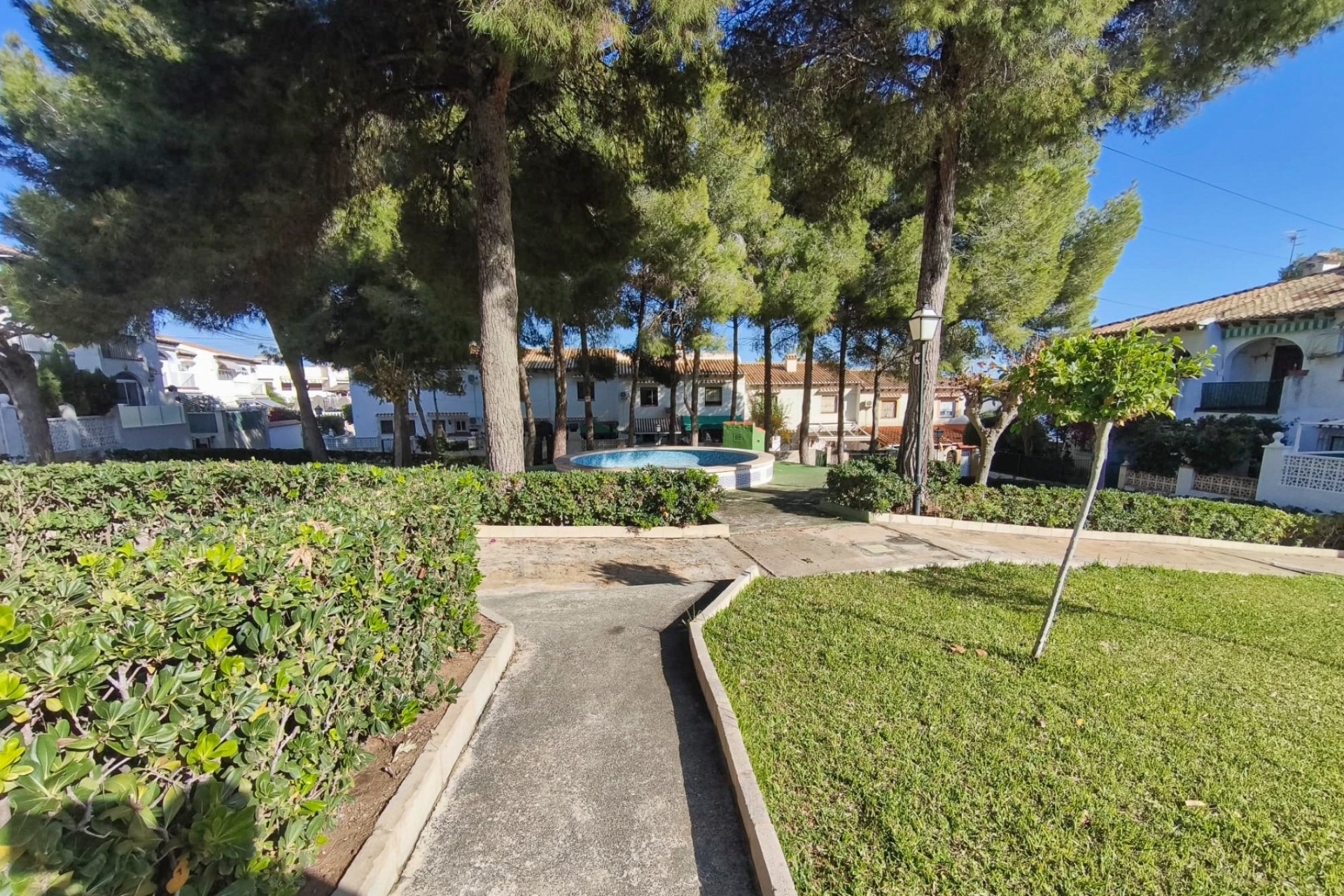 Prodej - Bungalow - Torrevieja - Lago jardin