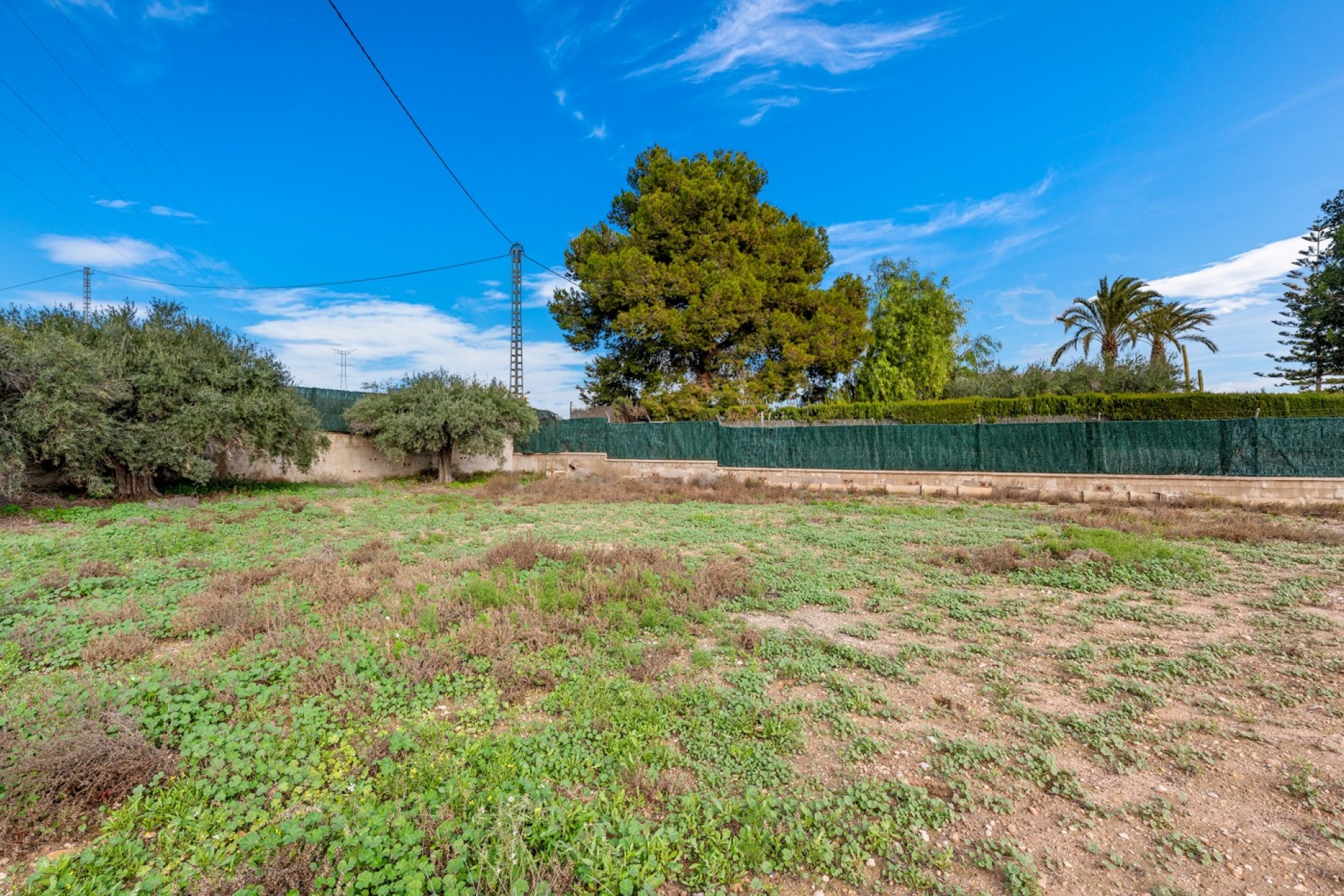 Prodej - Chalet - Elche/Elx