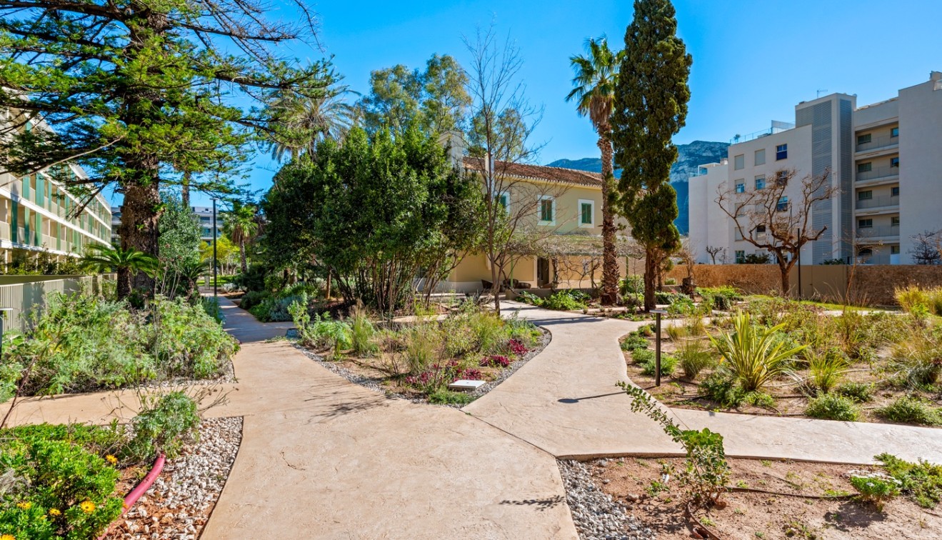 Prodej - Penthouse - Denia - Puerto