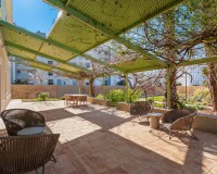 Prodej - Penthouse - Denia - Puerto