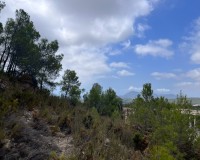 Prodej - Spiknutí - Altea - Sierra de Altea