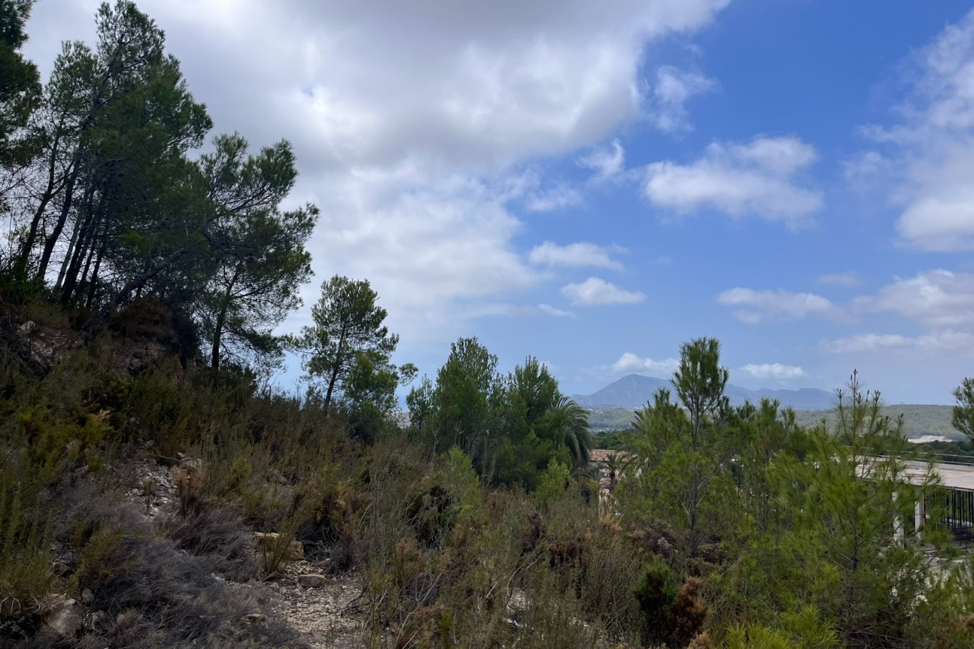 Prodej - Spiknutí - Altea - Sierra de Altea
