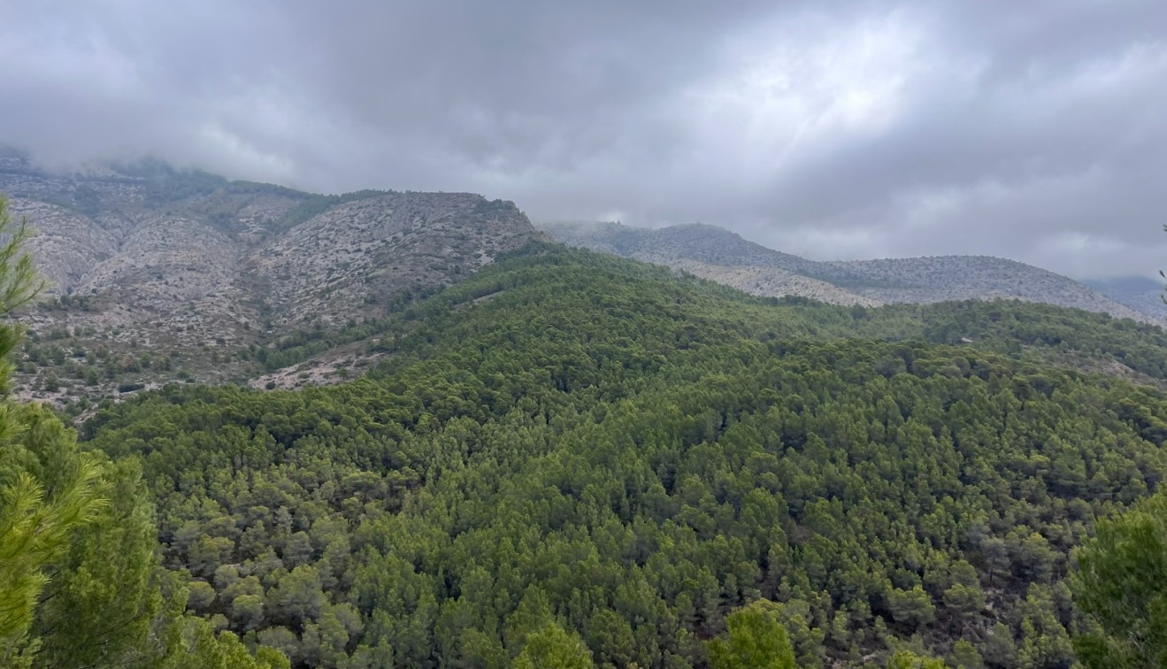 Prodej - Spiknutí - Altea - Sierra de Altea