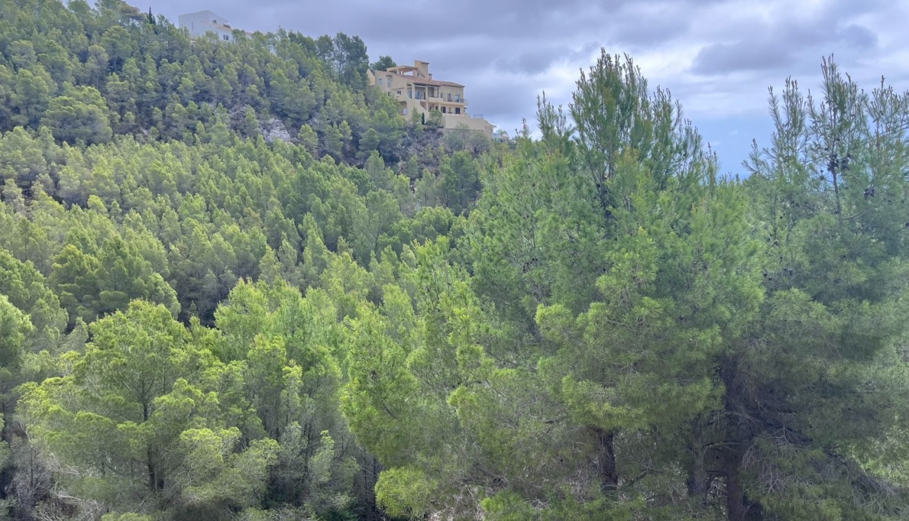 Prodej - Spiknutí - Altea - Sierra de Altea