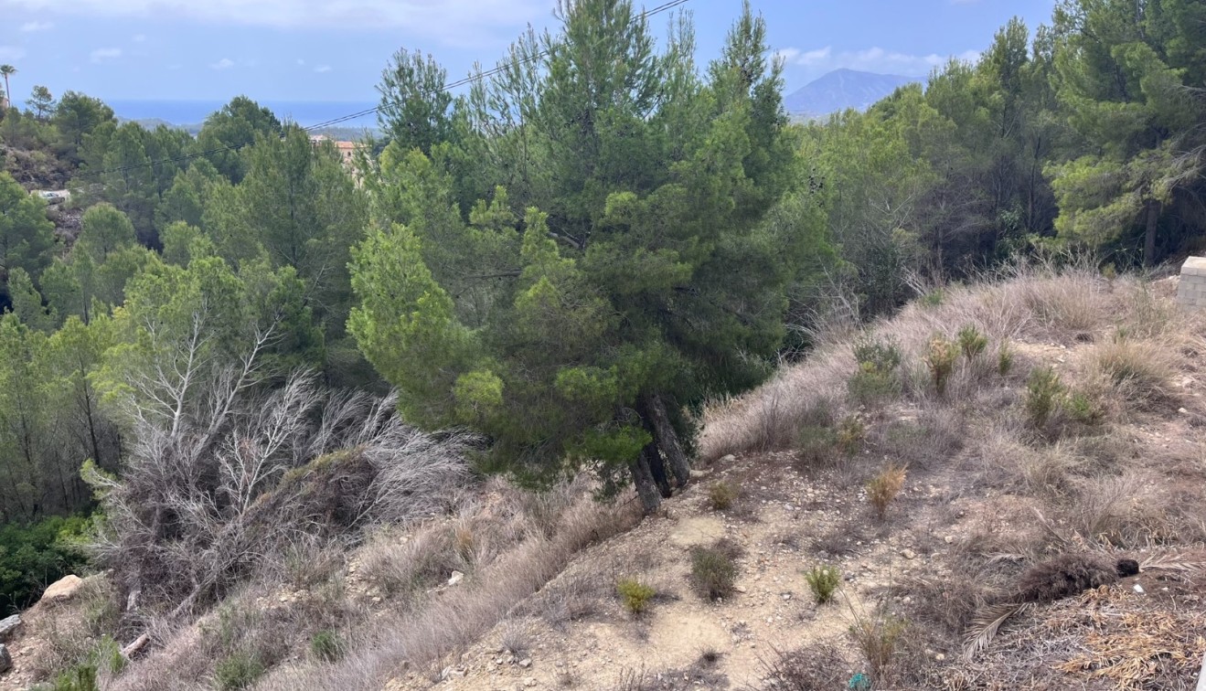 Prodej - Spiknutí - Altea - Sierra de Altea