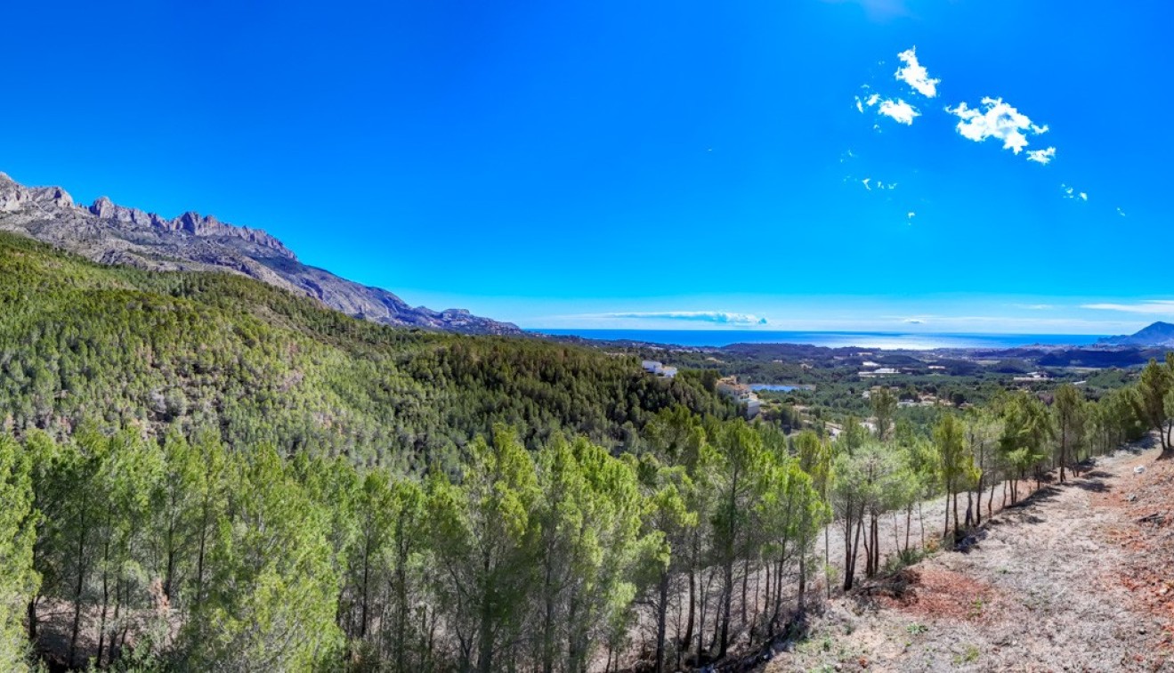 Prodej - Spiknutí - Altea - Sierra de Altea