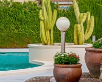 Prodej - Villa - Ciudad Quesada - Rojales