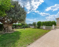 Prodej - Villa - Elche/Elx