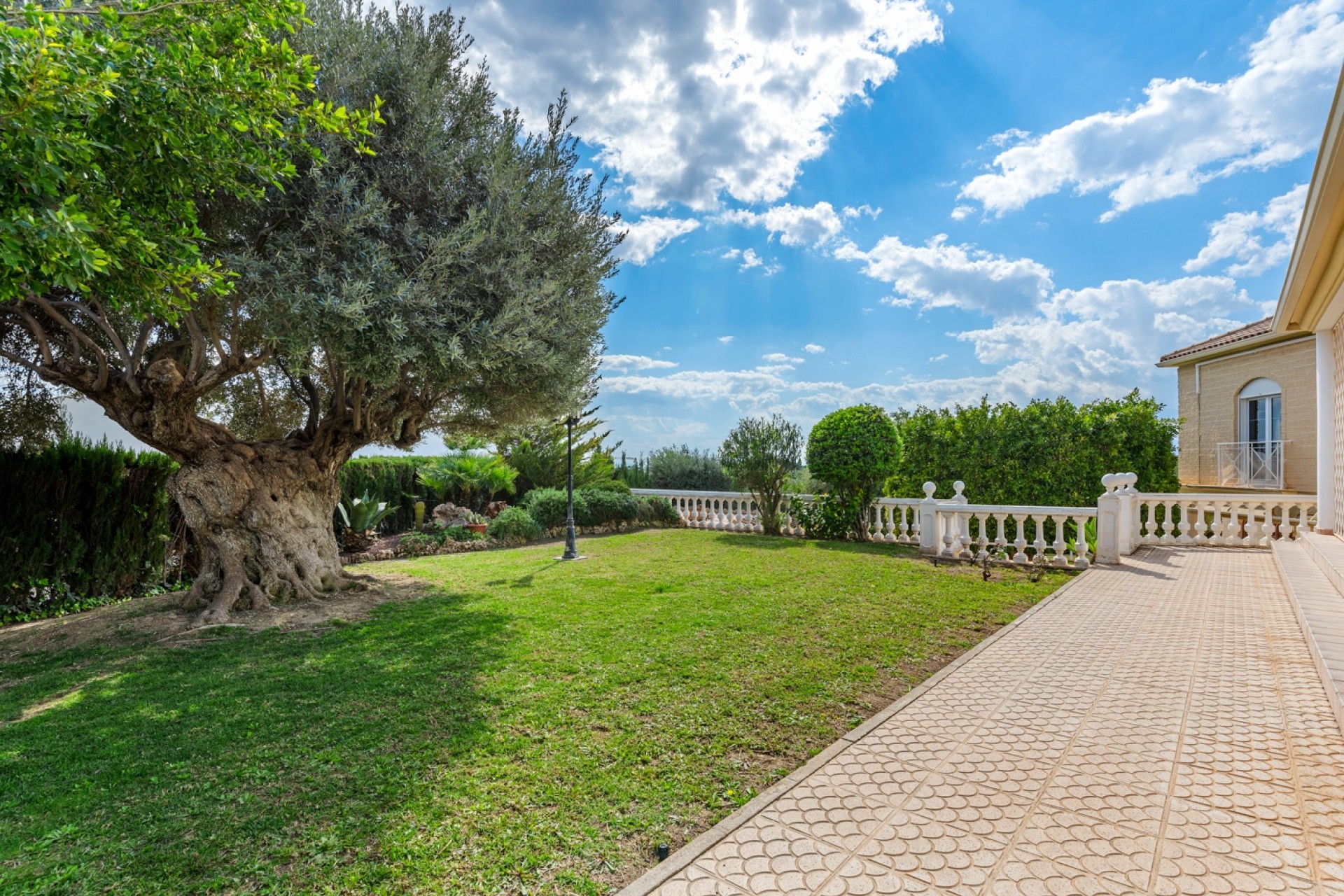 Prodej - Villa - Elche/Elx