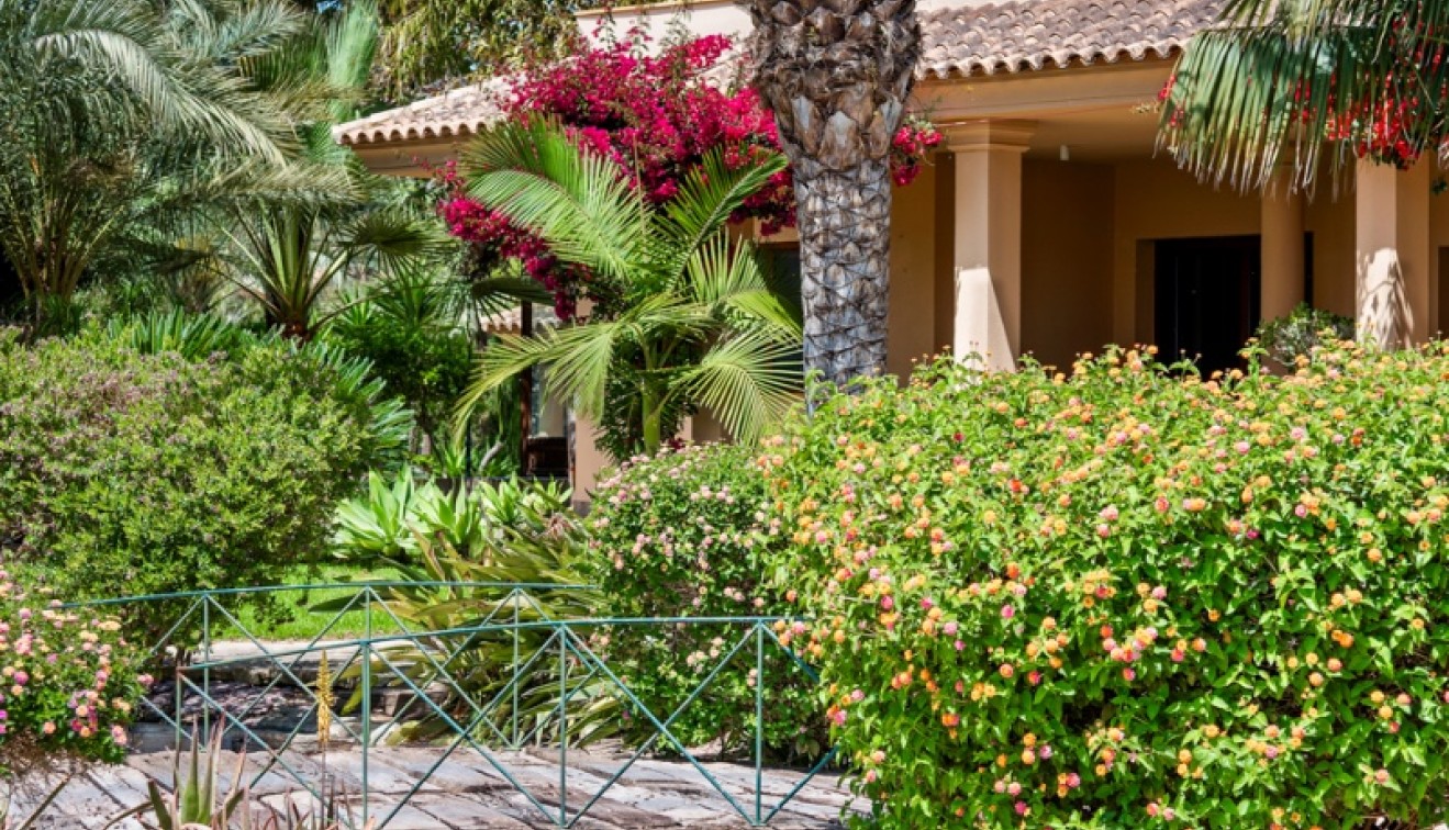 Prodej - Villa - Elche/Elx