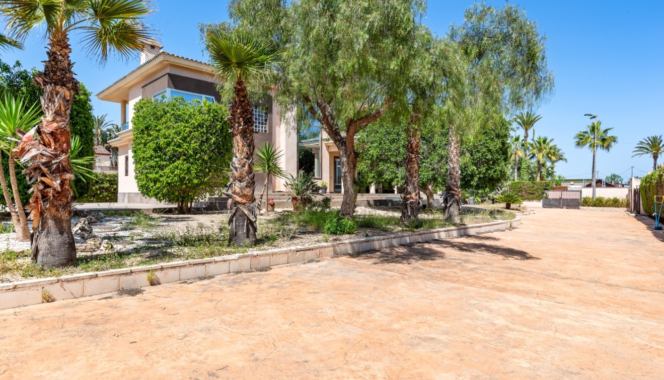 Prodej - Villa - Elche/Elx