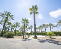 Prodej - Villa - Elche/Elx