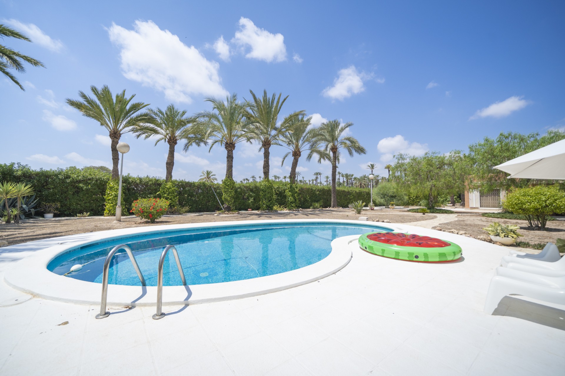 Prodej - Villa - Elche/Elx