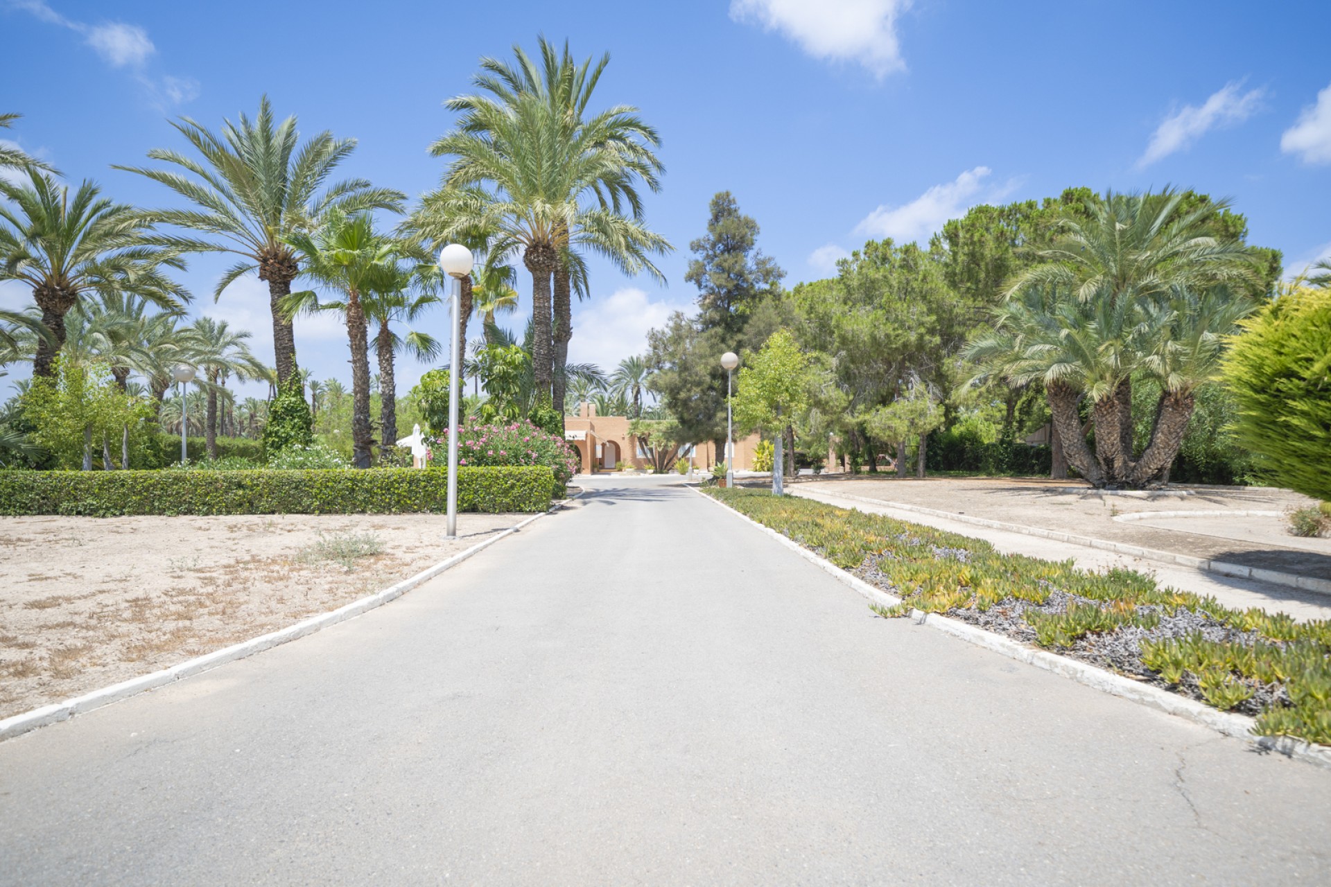 Prodej - Villa - Elche/Elx