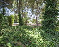 Prodej - Villa - Elche/Elx