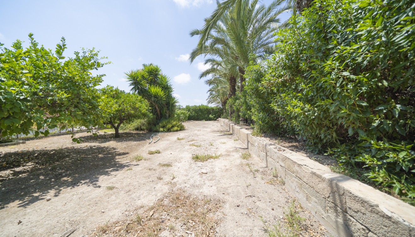 Prodej - Villa - Elche/Elx