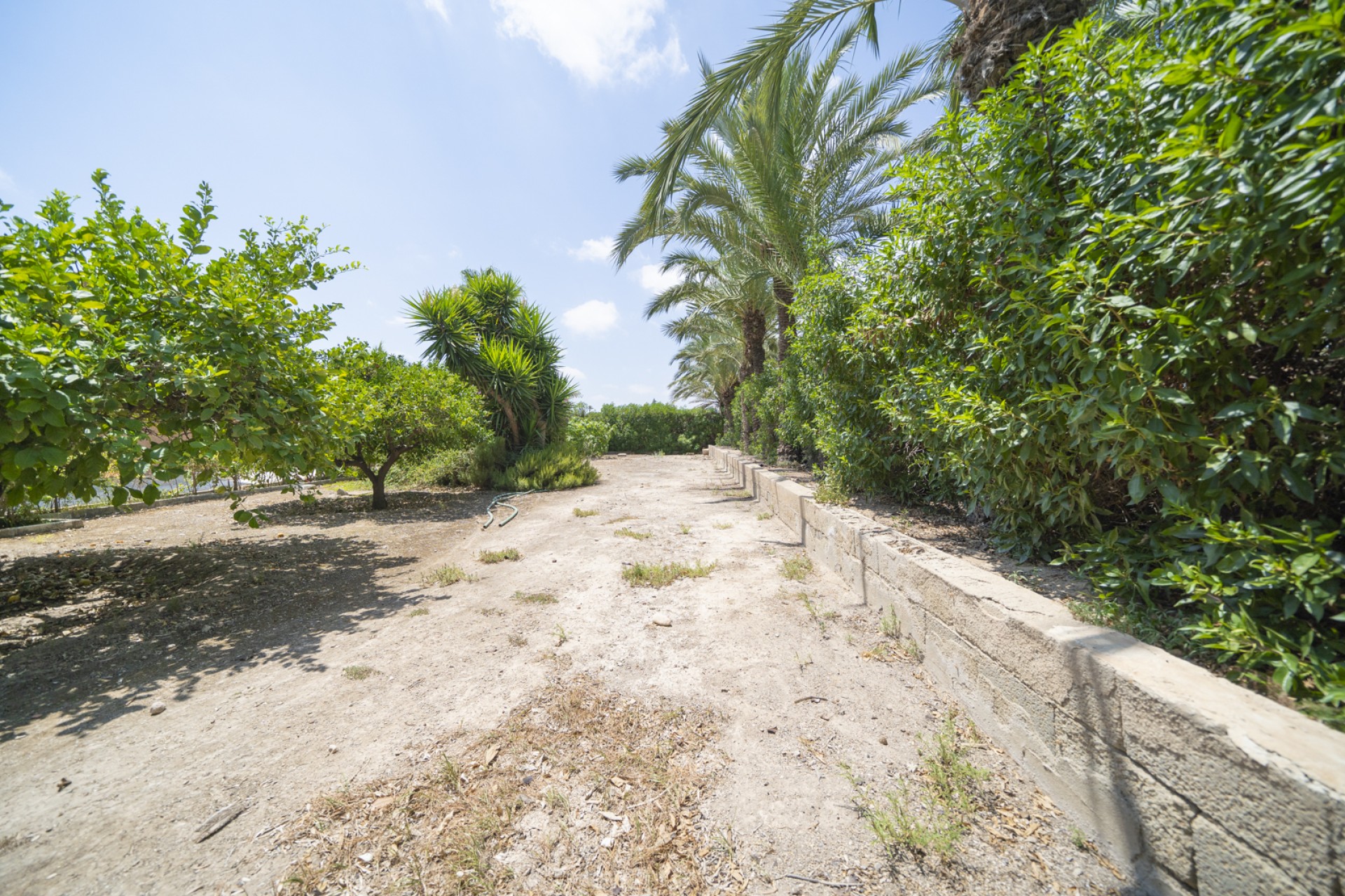 Prodej - Villa - Elche/Elx